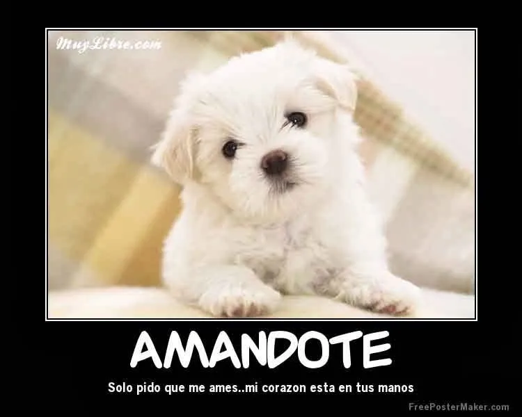Imagenes de amor HD: Imagenes de amor con frases romanticas nuevas