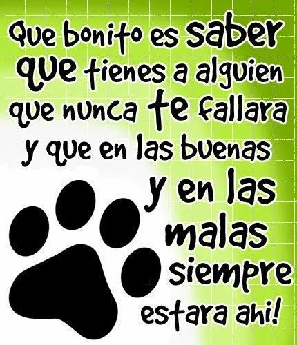 Imagenes de amor HD: Imagenes de amor tiernas para dedicar Imagenes de amor HD: Imagenes de amor tiernas para dedicar