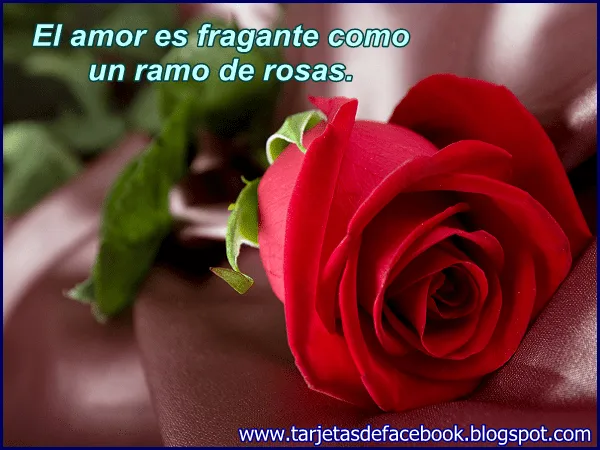 Imagenes de amor HD: Imagenes de flores de amor gratis Imagenes de amor HD: Imagenes de flores de amor gratis
