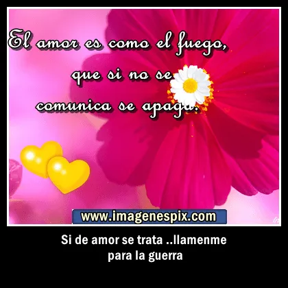 Imagenes con frases lindas de amor y desamor | Imagenes tiernas