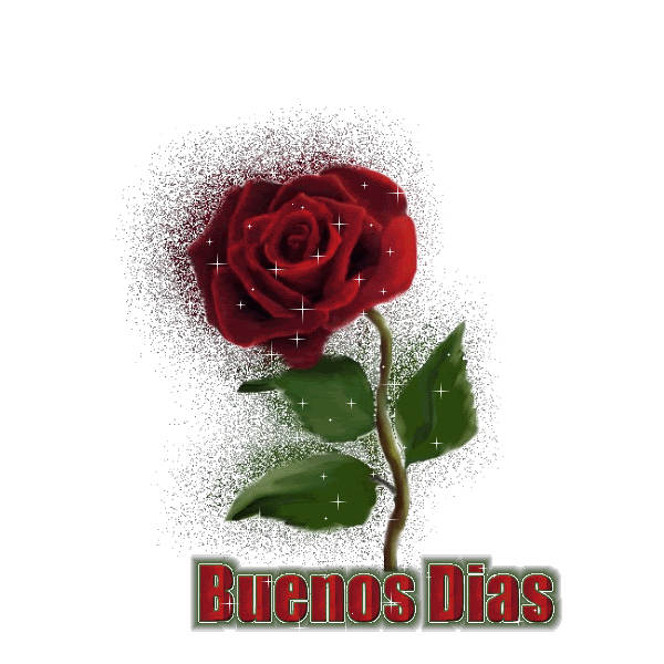 Imagenes de amor HD: Imagenes que se muevan y brillen de amor Imagenes de amor HD: Imagenes que se muevan y brillen de amor