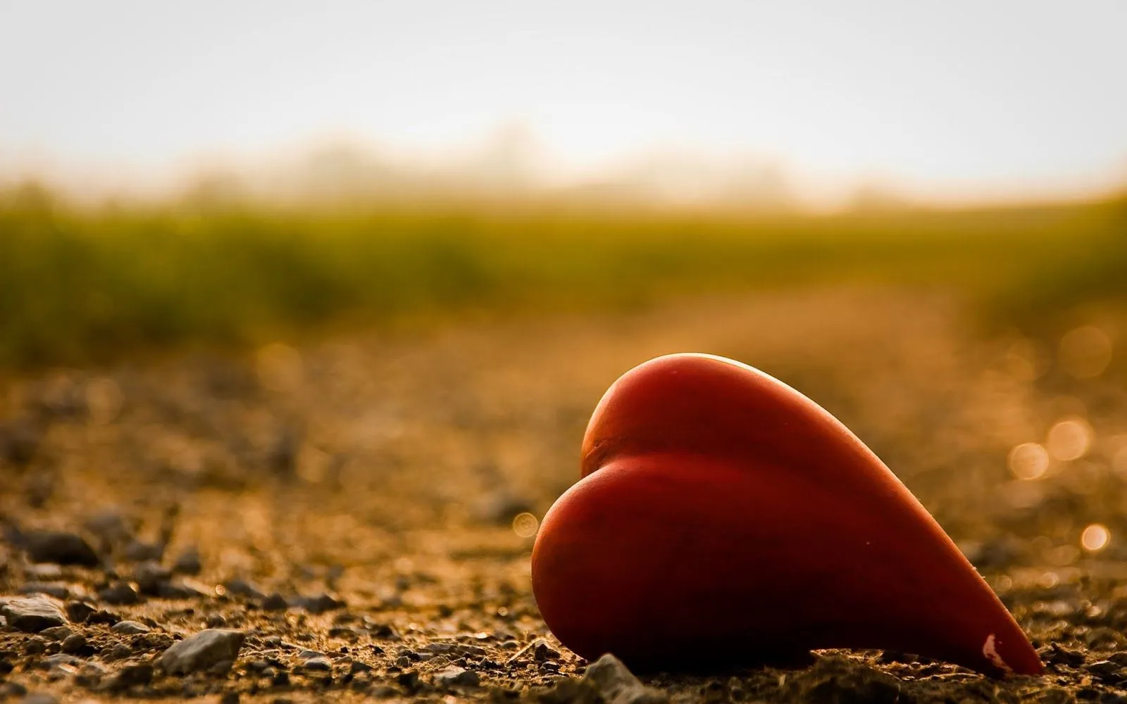 Imagenes amor en HD - Imagui