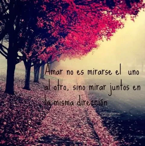 Imagenes de amor - Página 6 de 213 - Imagenes de amor con frases ... Imagenes de amor - Página 6 de 213 - Imagenes de amor con frases ...
