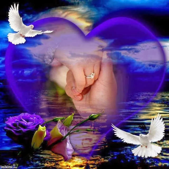 imagenes de amor con luces - IMG MLP