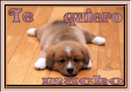 Imagenes de Amor gratis: Imagenes de amor para celular gratis