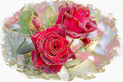 Imágenes de amor con movimiento — Regala Rosas en movimiento - San ...
