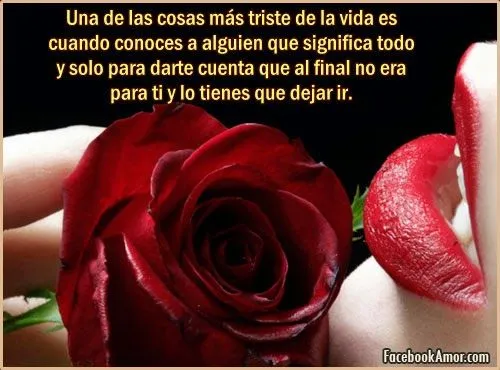 IMAGENES DE AMOR PARA MURO FACEBOOK HERMOSAS FLORES - Imágenes ...