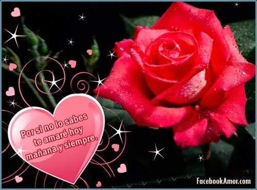 IMAGENES DE AMOR PARA MURO FACEBOOK HERMOSAS FLORES - Imágenes ... IMAGENES DE AMOR PARA MURO FACEBOOK HERMOSAS FLORES - Imágenes ...