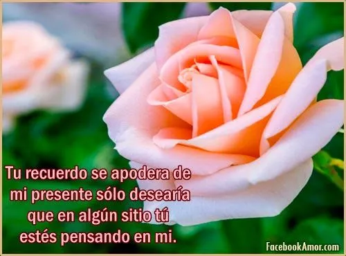 IMAGENES DE AMOR PARA MURO FACEBOOK HERMOSAS FLORES - Imágenes ... IMAGENES DE AMOR PARA MURO FACEBOOK HERMOSAS FLORES - Imágenes ...