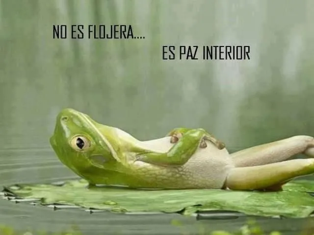 imágenes de amor on Pinterest | Imagenes De Amor, Amor and Emo imágenes de amor on Pinterest | Imagenes De Amor, Amor and Emo