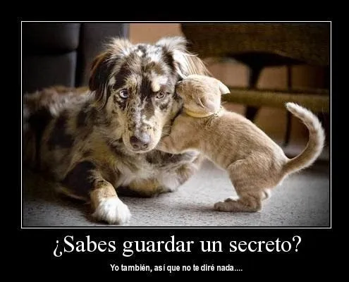 frases-con-imagenes-de-amor- ...