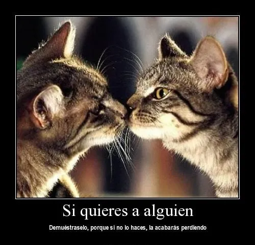 Imágenes de amor “Si quieres a alguien” | Imagenes de Frases [ Imágenes de amor “Si quieres a alguien” | Imagenes de Frases [