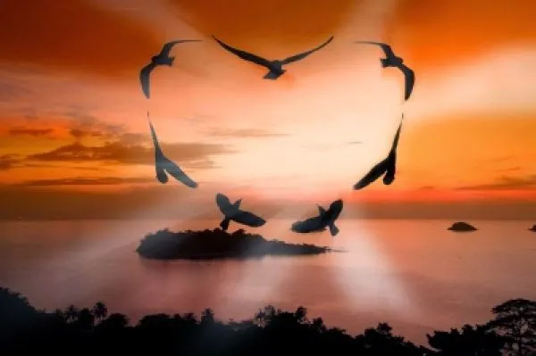 imagenes de amor sin texto- bajar gratis fotos de amor hermosas y ... imagenes de amor sin texto- bajar gratis fotos de amor hermosas y ...