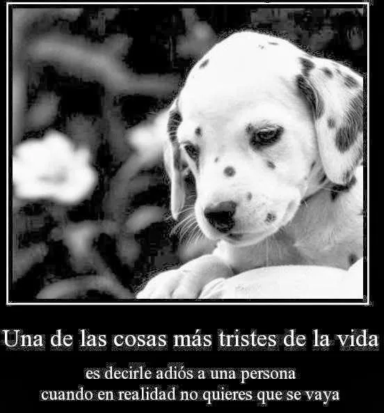 Ver imagenes de amor y tristeza | Imagenes tiernas Ver imagenes de amor y tristeza | Imagenes tiernas