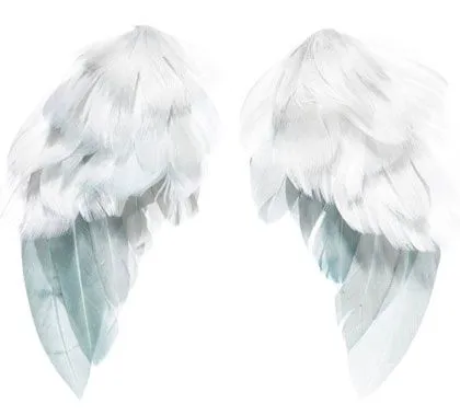 Los ángeles pueden morir? | ObreroFiel