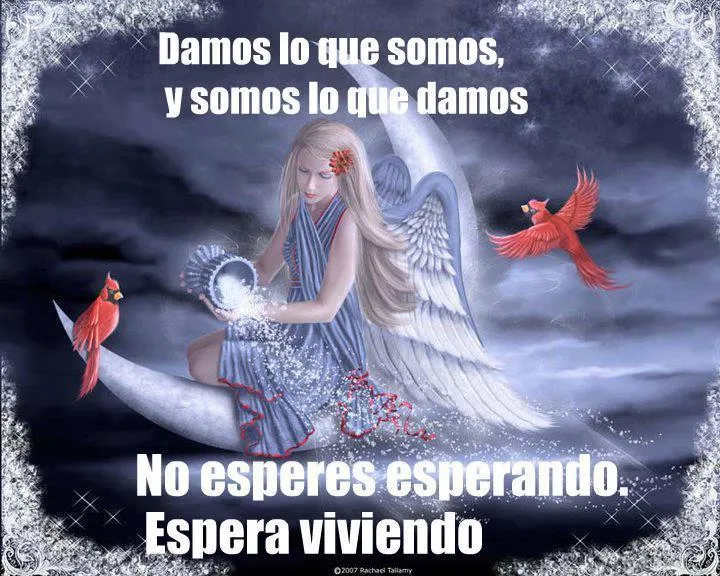 Imagenes con angeles y frases - Imagui