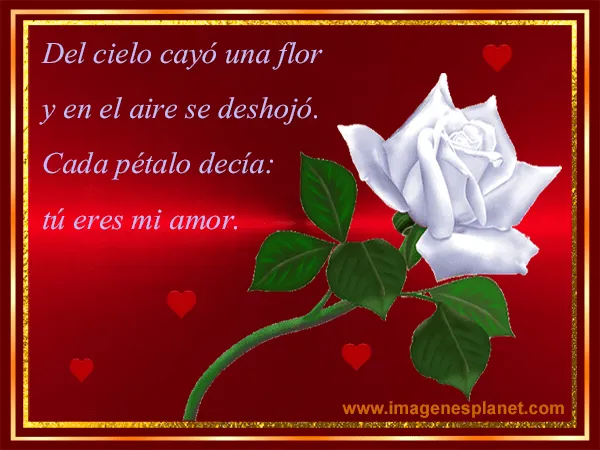 Imagenes angeles de amor con frases - Imagui