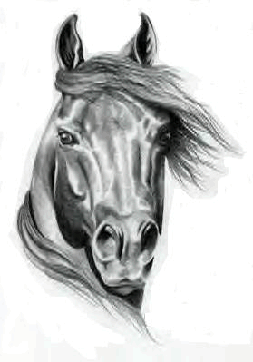 Imagenes animadas de Caballos - Gifs animados de Caballos Imagenes animadas de Caballos - Gifs animados de Caballos