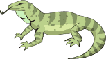 Imagenes animadas de Iguanas - Gifs animados de Iguanas Imagenes animadas de Iguanas - Gifs animados de Iguanas