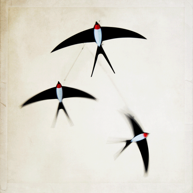 Imagenes Animadas: Imagenes Animadas con movimiento para celular Imagenes Animadas: Imagenes Animadas con movimiento para celular