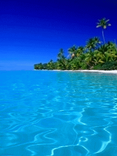imagenes de naturaleza en movimiento