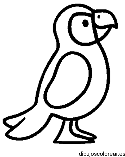 Loros | Dibujos para Colorear