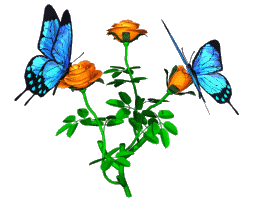 Imagenes animadas de Mariposas - Gifs animados de Mariposas Imagenes animadas de Mariposas - Gifs animados de Mariposas