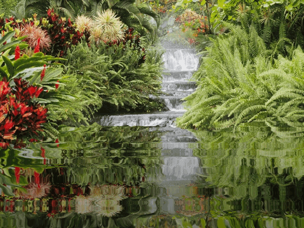 Paisaje naturaleza gifs animados de amor - Imagui Paisaje naturaleza gifs animados de amor - Imagui