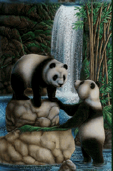 Imagenes animadas de Osos Panda - Gifs animados de Osos Panda