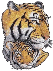Imagenes animadas de Tigres - Gifs animados de Tigres Imagenes animadas de Tigres - Gifs animados de Tigres