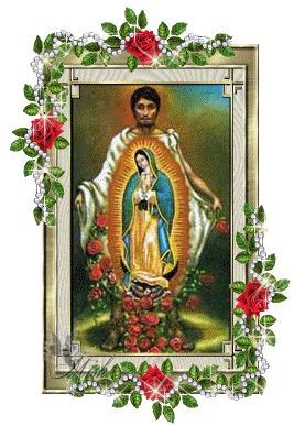 Imagenes animadas de la Virgen de Guadalupe mexico - Imagui