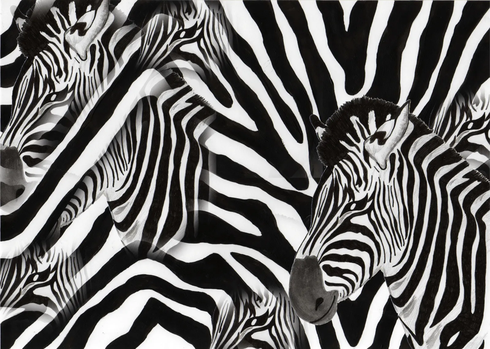 Un Mundo Ideal: Animal Print