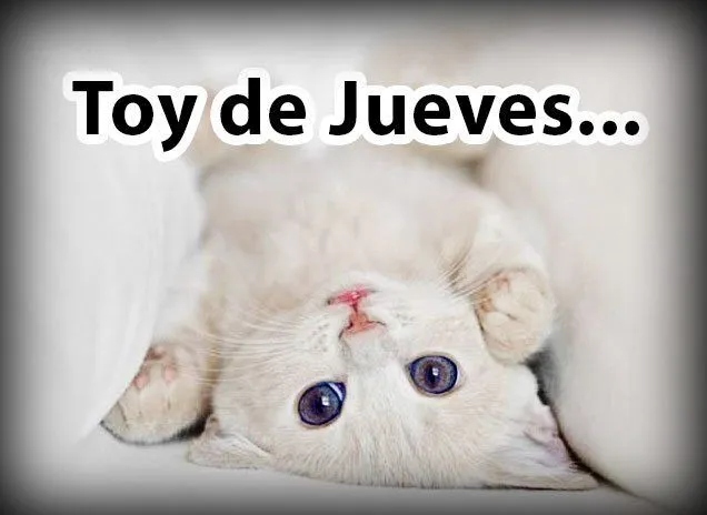 Imágenes de Animales - 365 Imágenes bonitas Imágenes de Animales - 365 Imágenes bonitas