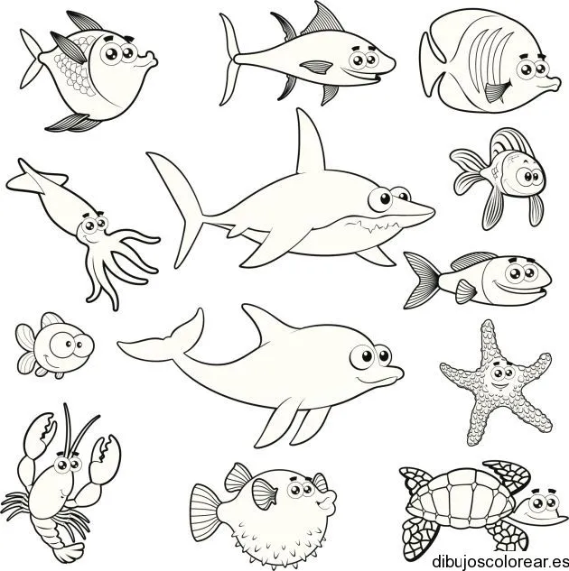 Dibujo de un grupo de animales marinos | Dibujos para Colorear Dibujo de un grupo de animales marinos | Dibujos para Colorear