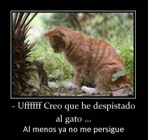 Imágenes de animales para descargar gratis con frases tiernas y ...