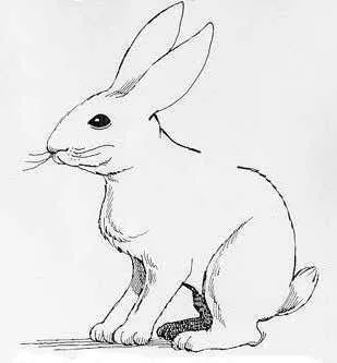 Puedo estar equivocado: agosto 2008