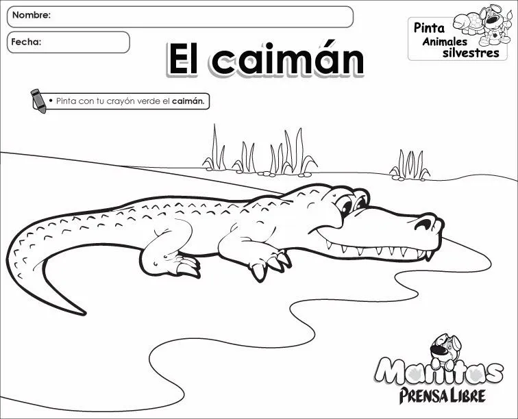 Imágenes de animales y frutas para colorear | Un Recurso Más
