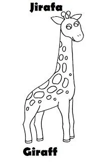 Imagenes de Animales en ingles y español | Imagenes para dibujar ...