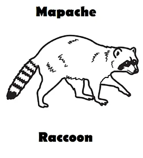 Imagenes de Animales en ingles y español | Imagenes para dibujar ... Imagenes de Animales en ingles y español | Imagenes para dibujar ...