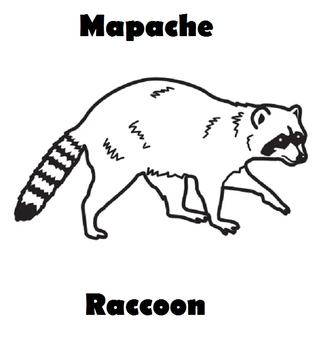 Imagenes de Animales en ingles y español | Imagenes para dibujar ... Imagenes de Animales en ingles y español | Imagenes para dibujar ...