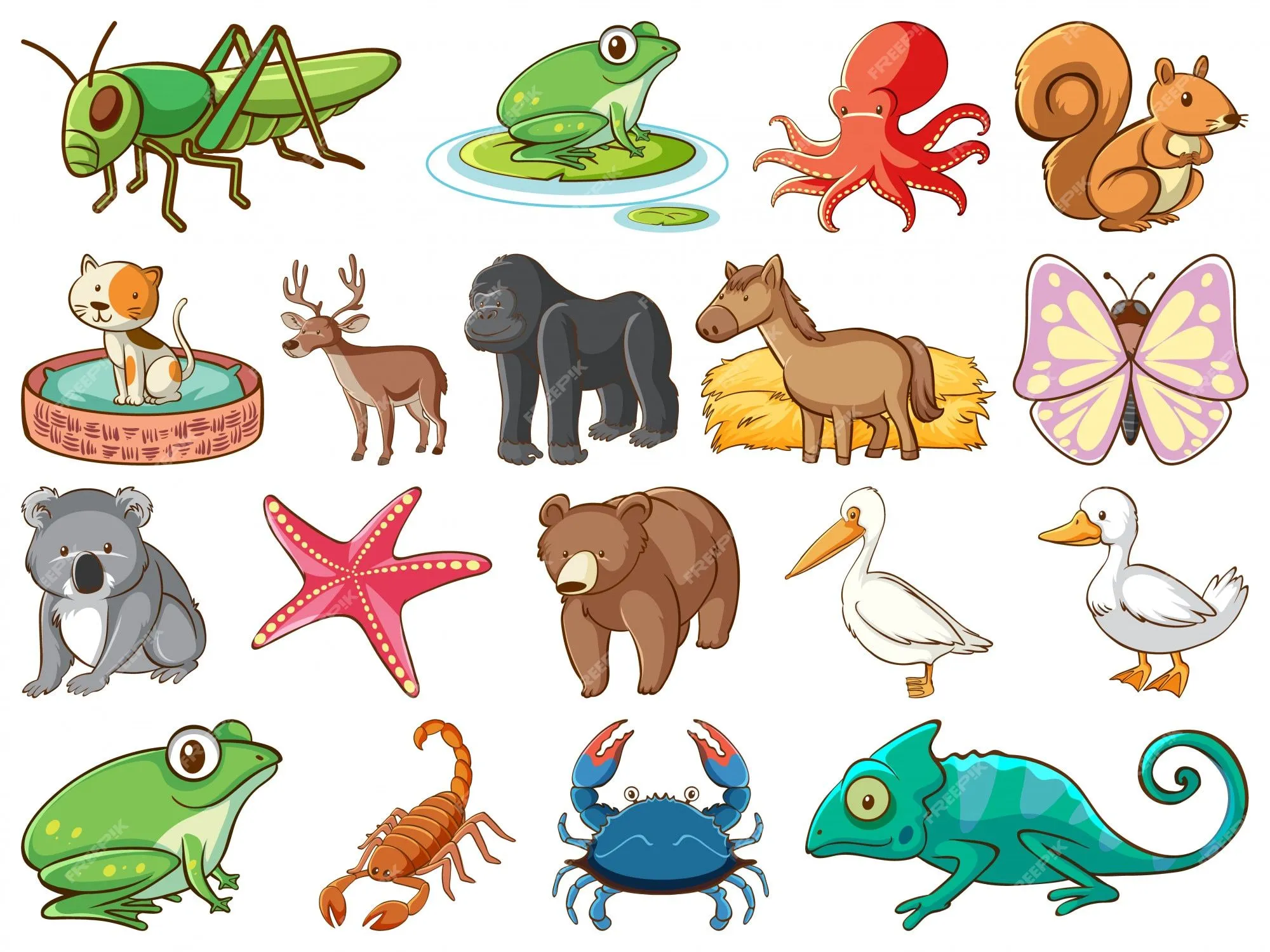 Imágenes de Animales Invertebrados - Descarga gratuita en Freepik