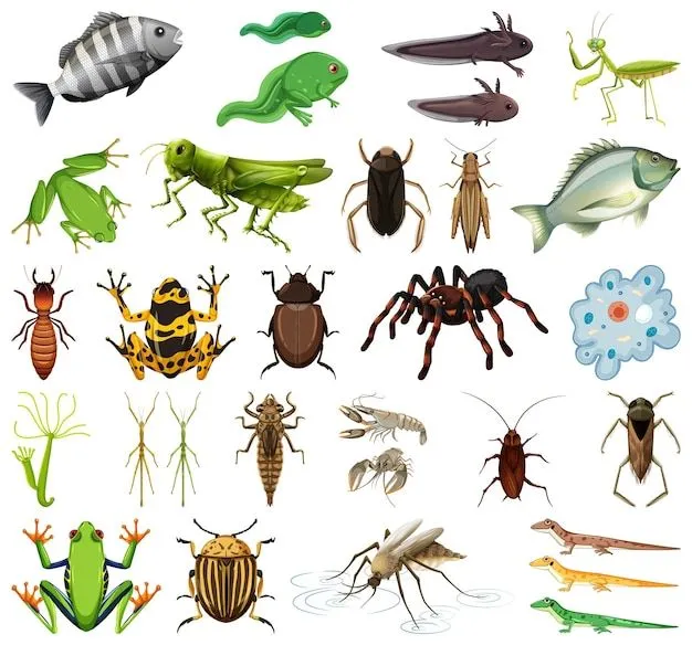 Imágenes de Animales Invertebrados - Descarga gratuita en Freepik
