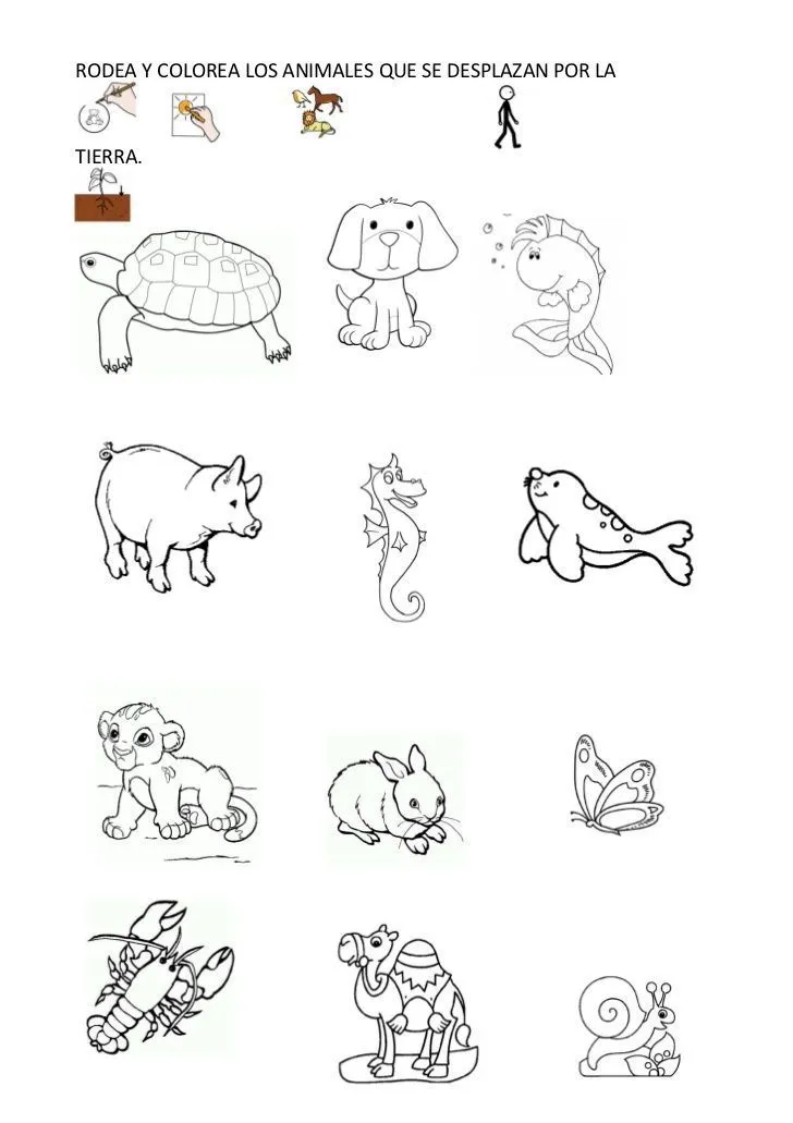 imagenes de animales marinos alimentandose para colorear - Buscar con Google , #alimentandos... | Abecedario en cursiva, Imagenes de animales, Animales imagenes de animales marinos alimentandose para colorear - Buscar con Google , #alimentandos... | Abecedario en cursiva, Imagenes de animales, Animales