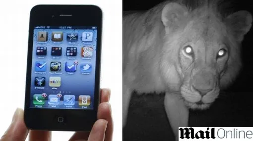 Novedosa aplicación para celular ayudaría a salvar a los animales ... Novedosa aplicación para celular ayudaría a salvar a los animales ...