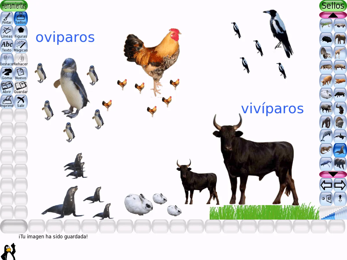 Imagenes de animales oviparos y viviparos - Imagui Imagenes de animales oviparos y viviparos - Imagui
