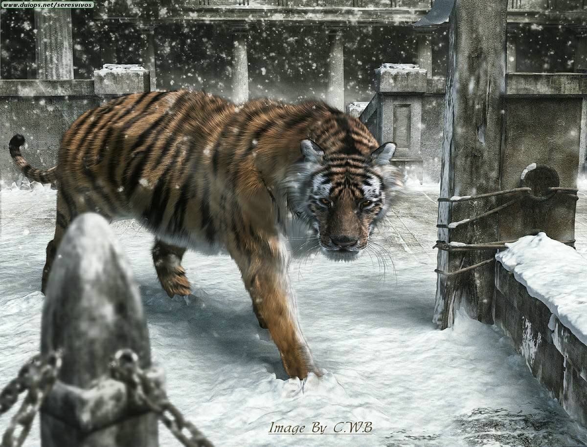 ... Photos Animales Paisajes%20055 Imagenes de animales en paisajes ... Photos Animales Paisajes%20055 Imagenes de animales en paisajes