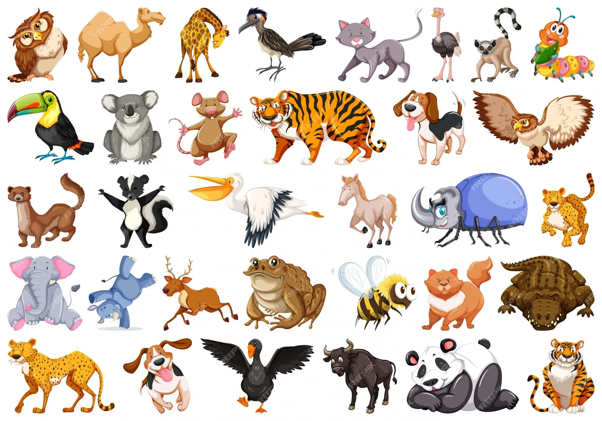 Imágenes de Animales Salvajes - Descarga gratuita en Freepik