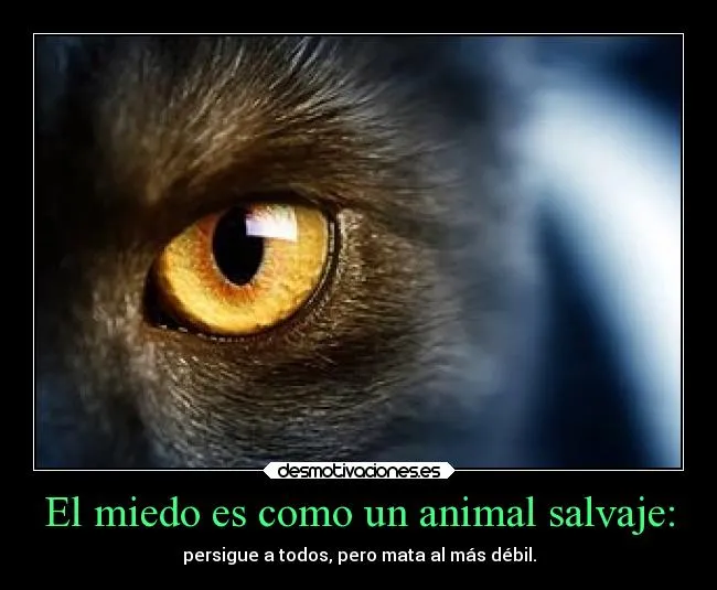 Carteles de Kyrayagami Pag. 12 | Desmotivaciones Carteles de Kyrayagami Pag. 12 | Desmotivaciones