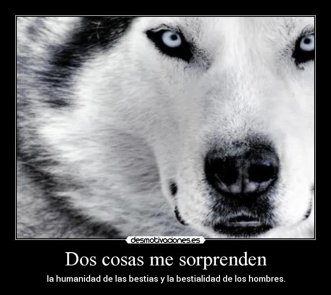 Carteles de Salvaje Pag. 8 | Desmotivaciones Carteles de Salvaje Pag. 8 | Desmotivaciones