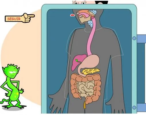 IMAGENES DEL APARATO DIGESTIVO PARA NIÑOS